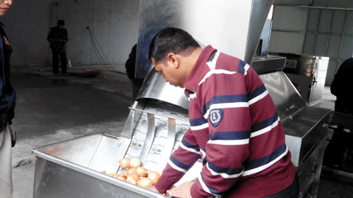 onion-peeling-machine