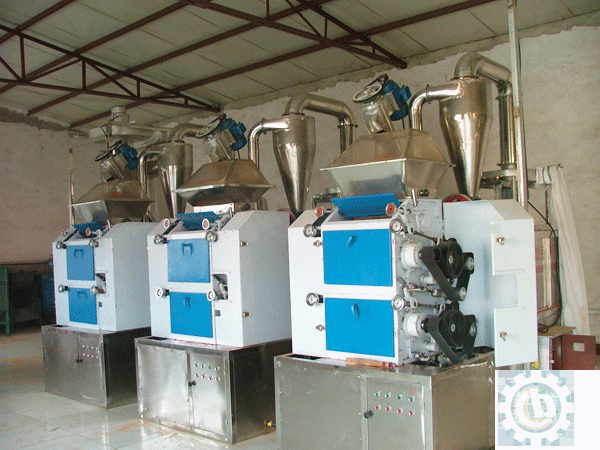 BCH-600-Chili-Powder-Production-Line