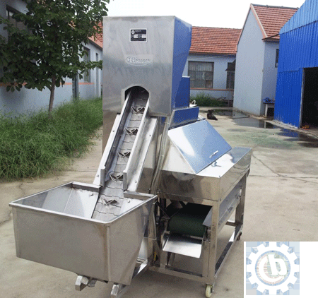 onion-peeling-machine